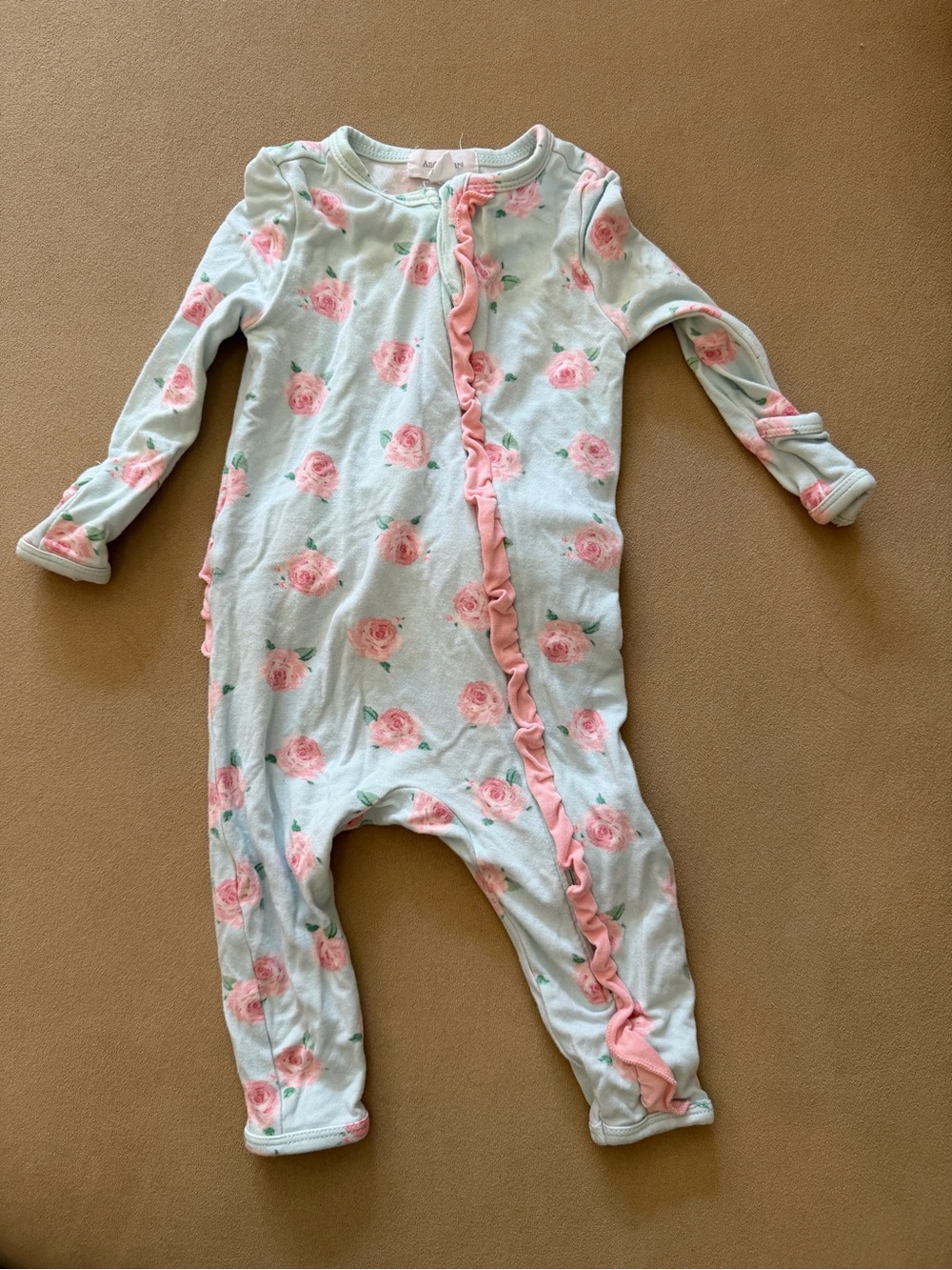 Angel Dear Floral Ruffle Zip-Up Baby One-Piece Romper - Pink Roses on Mint